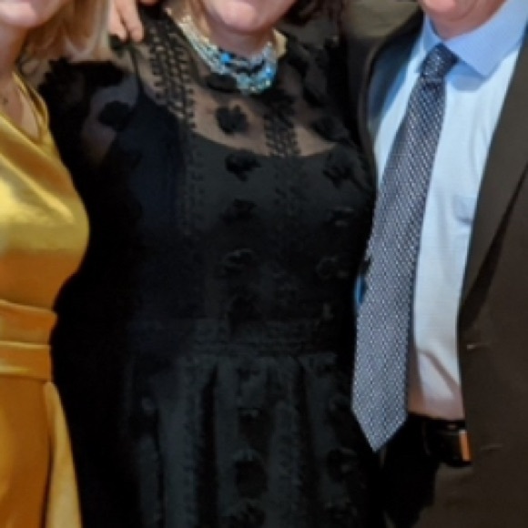 Anthropologie black, sheer, party dress. Size 18W - Picture 8 of 8